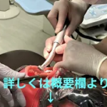 2025 12 21CR治療・麻酔抜髄セミナーを開催しました